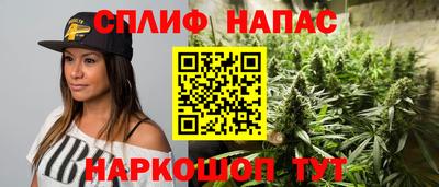 гидра Донецк