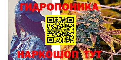 гидра Донецк